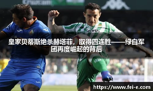 zoty中欧