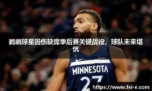 鹈鹕球星因伤缺席季后赛关键战役，球队未来堪忧