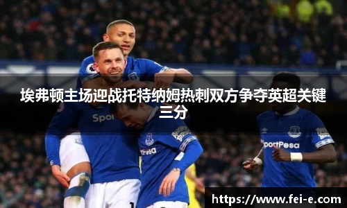 埃弗顿主场迎战托特纳姆热刺双方争夺英超关键三分