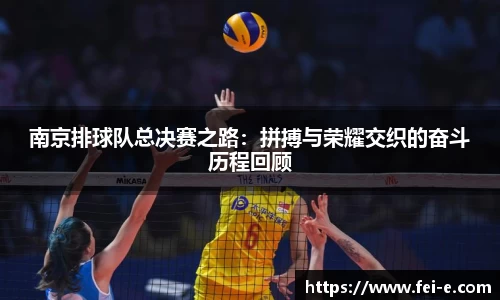 zoty中欧官方网站