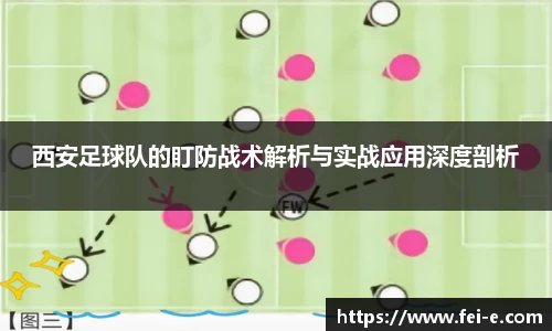 zoty中欧官方网站