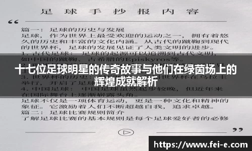 十七位足球明星的传奇故事与他们在绿茵场上的辉煌成就解析